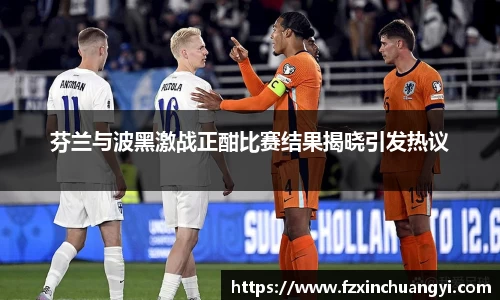 芬兰与波黑激战正酣比赛结果揭晓引发热议